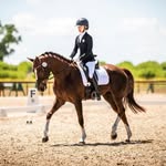 Lily Bacon - @lrbdressage - Instagram