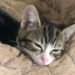 lily - @lilybaile.y - Instagram