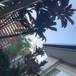 Lily Bain - @lily_oztag123 - Instagram