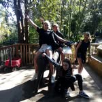 Lily bainbridge - @lily_bainbridge_1206 - Instagram