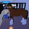 lilybarlow16 - @lilybarlow16 - TikTok