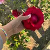 Lily Barrera - @lily.barrera21 - TikTok