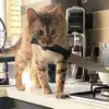 LilyBarth - @lilybarthc - TikTok
