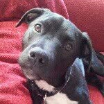 Lily Ann Boswell - @the_lovelylily - Instagram