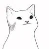 lilyboucher811 - @lilyboucher811 - TikTok