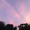 lily_bower - @lily_bower12 - TikTok