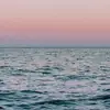 lily bower - @lily.bower3 - TikTok