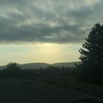 lily - @lilybower__ - Instagram