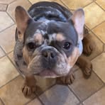Lilly Brewer - Facebook