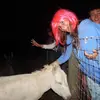 Lil - @lilybuck - TikTok
