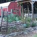 Lillian Buckner - Facebook