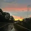 lily buffington - @live.laugh.lilyy - TikTok