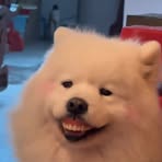 Lily Bui - Facebook