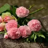 LilyBush - @sophiarussellgcvltd - TikTok