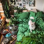Lily Calvert - @calvert2292610 - Instagram