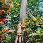 Lily Cannon - @lily.cannnon - Instagram