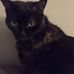 Lily Cartwright - Facebook
