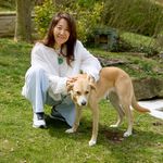 Dr. Lily Choi ☯︎ D. Ac, L. Ac - @lilychoinaturalhealing - Instagram