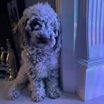 Lily Clarkson - Facebook