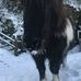 Lily Clarkson - Facebook
