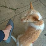 Lilly Cleary - @lillytripitaka - Instagram