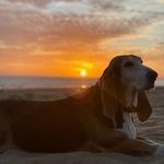 Lily Clement - @lily.clement.3348 - Instagram