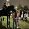 Lily Clements - @lilyclements68 - TikTok