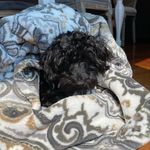 Lily Clements - @the_bolt_man1 - Instagram
