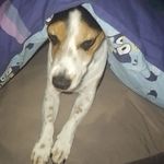 Lily - @lily_clements2010 - Instagram