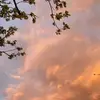 lilycobb4 - @lilycobb4 - TikTok
