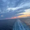 lily coe - @lily80990 - TikTok