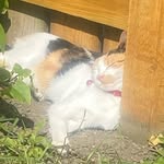lily colburn - @lilyxo.08 - Instagram