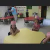 Lily - @lily_colburn - TikTok