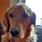 lily Corbin (2) account - @my_baby_sitters_a_vampire_rock - Instagram