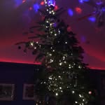 Lily Corbin - @lilypad_toad - Instagram