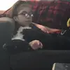 Lilliana Coronado - @lily_coronado0 - TikTok