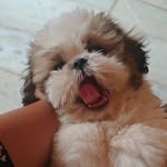 Its_me_lily - @lily_cottoncandy_ - Instagram
