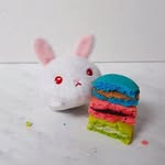 Lily Cottontail - @lily_cottontail - Instagram