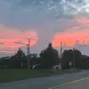lily_crook12 - @lily_crook12 - TikTok