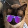 What’s up - @lilycrowder51 - TikTok