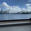 lily - @lilycuevas772 - TikTok