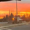 Lily day - @lily.day719 - TikTok