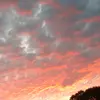 follow for a follow please - @lily.dean123 - TikTok