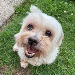 Lily - @lily.doddwade - Instagram