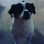 lily - @lily_dodd - Instagram