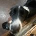 Lily Donovan - Facebook