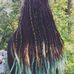Lily Dowd - Facebook
