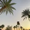 lily - @.lilydutton - TikTok