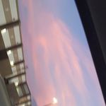 Lily Dutton - @dutton8011 - Instagram