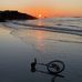 Lily Dutton - Facebook